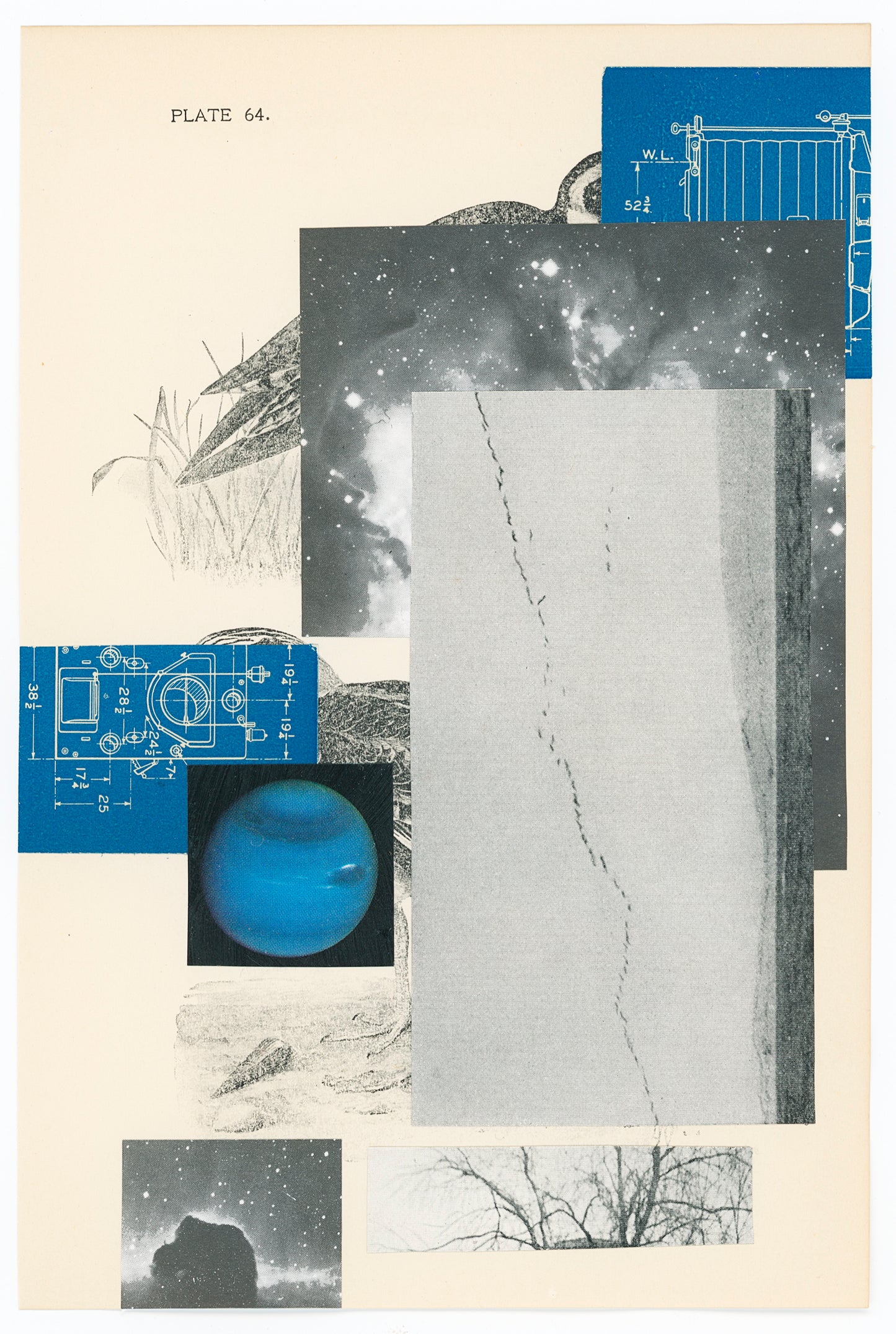 Lesley Finn, A Field Guide to Turnstones