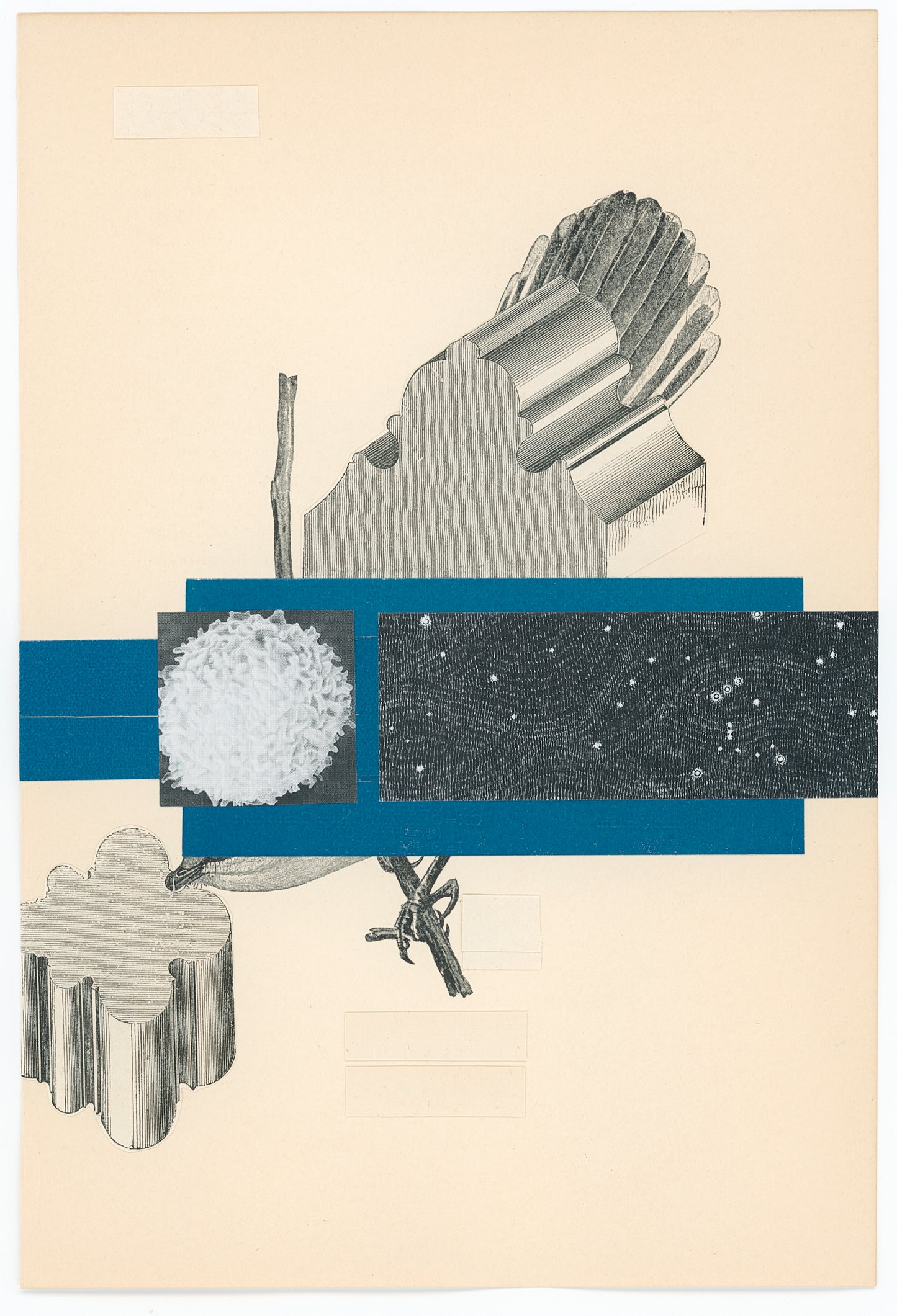 Lesley Finn, Chance Visitor