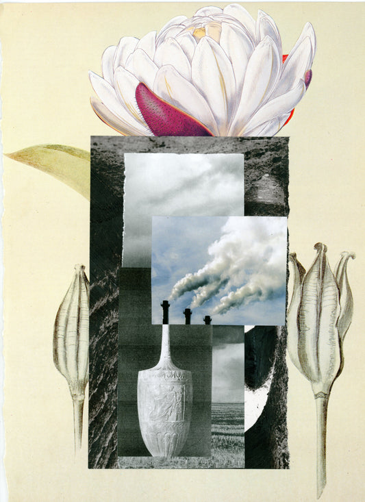 Lesley Finn, Fortune's Gardens