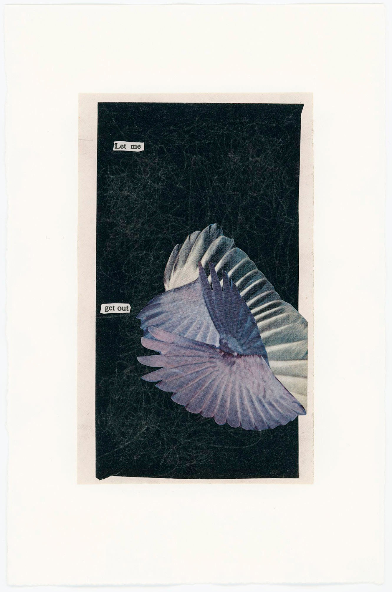 Lesley Finn, Let Me Get Out