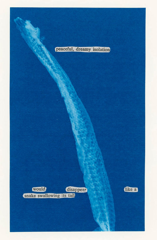 Lesley Finn, Peaceful, Dreamy