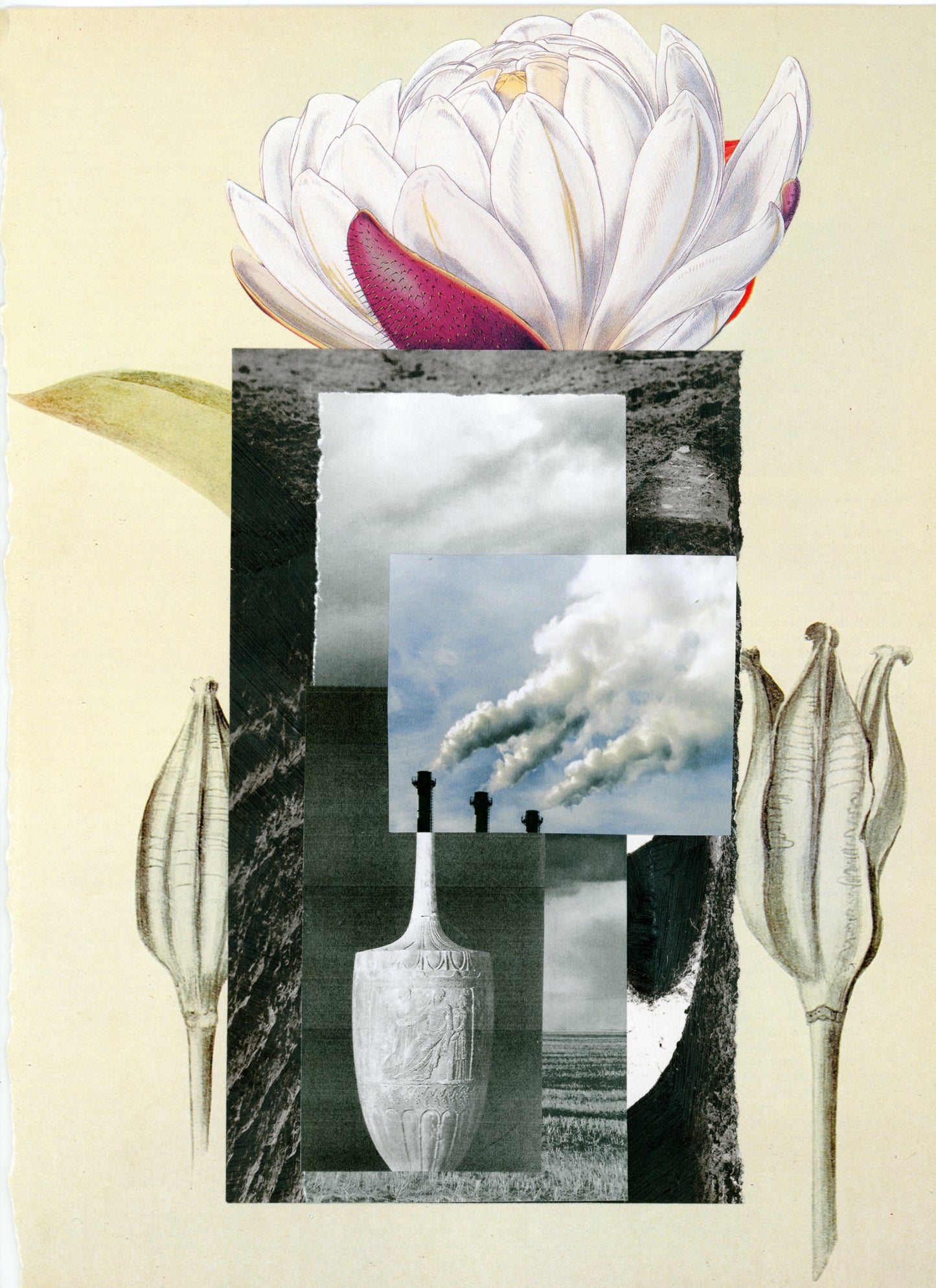 Lesley Finn, Fortune's Gardens